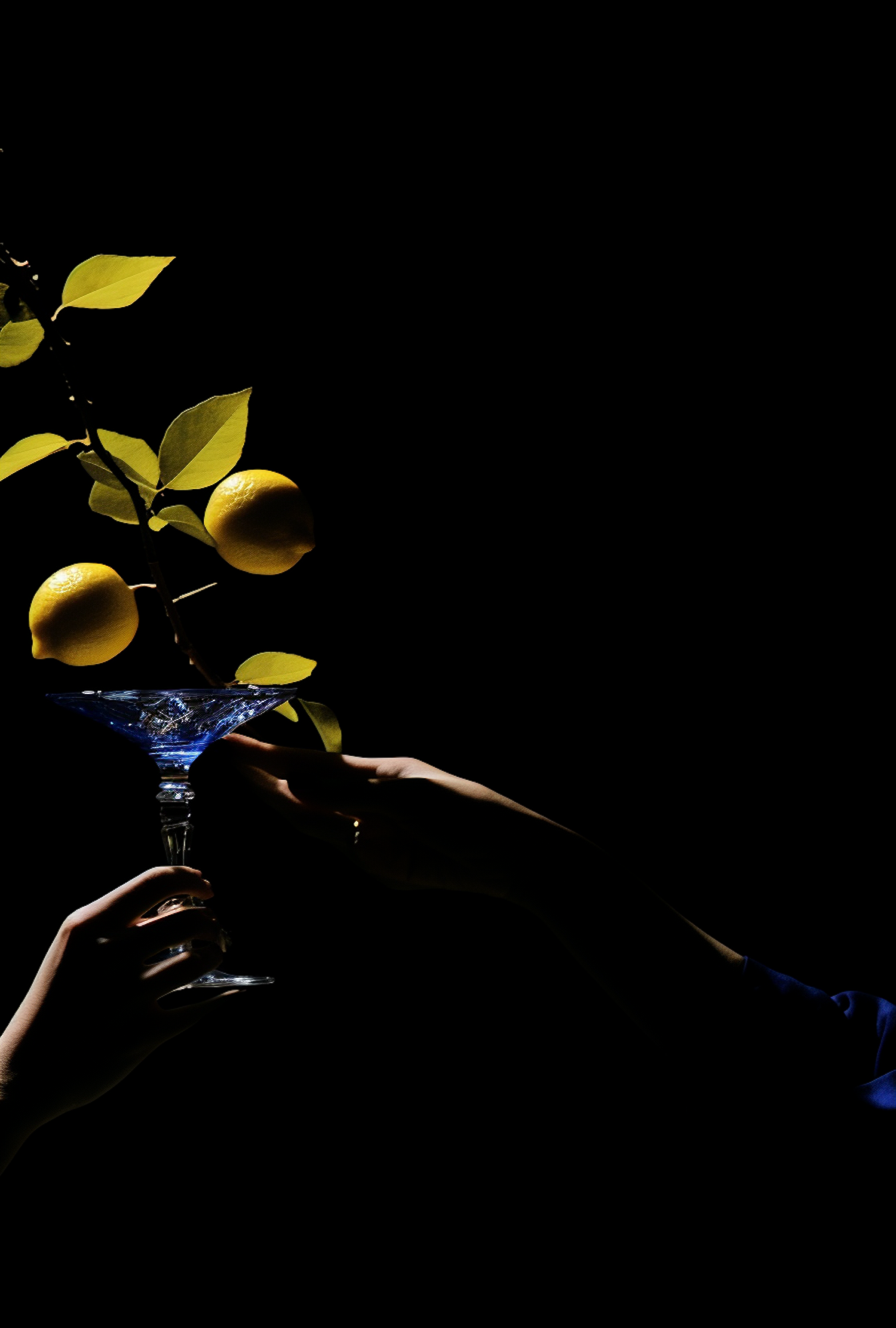 Elegance in Darkness: Lemons and Blue Glass