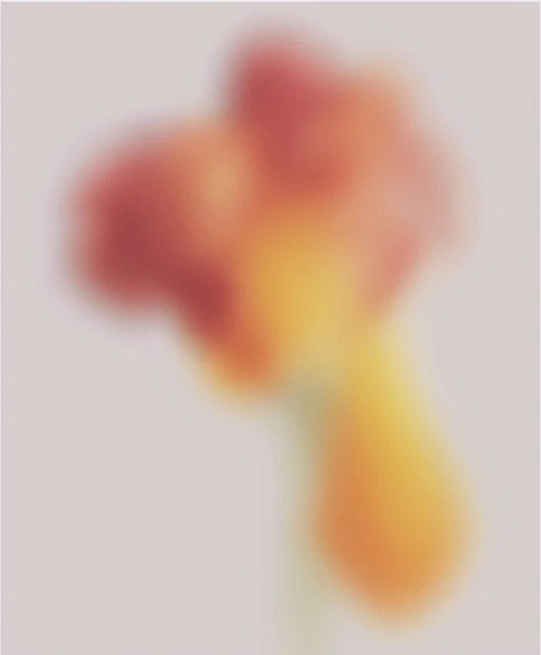 Abstract Flower Art
