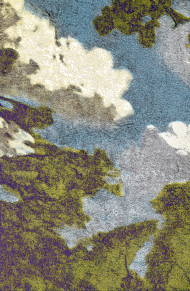 Halftone Nature Scene