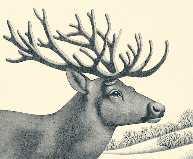 Majestic Deer Illustration