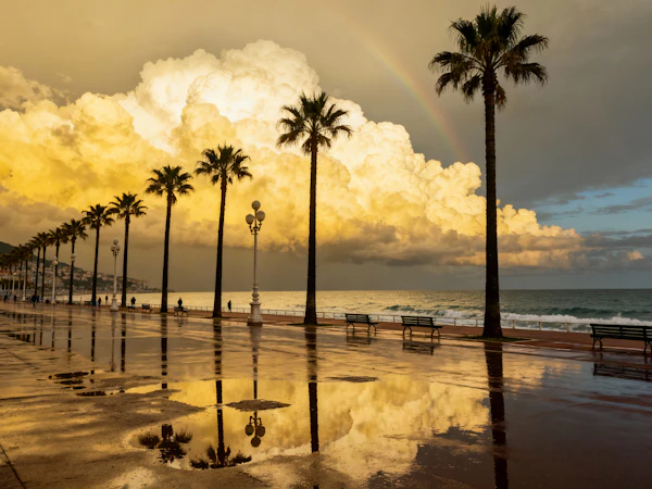 Golden Promenade Sunset