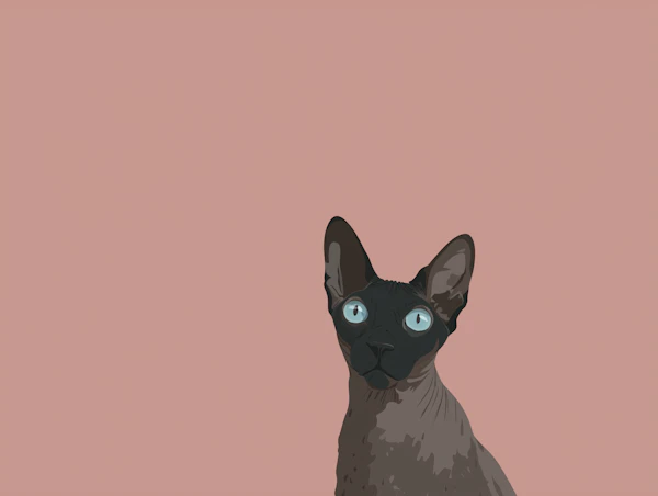 Grey Sphynx Cat Art
