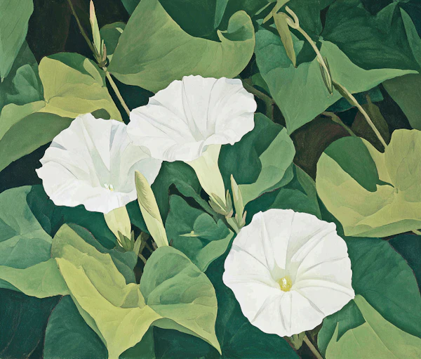 Morning Glory Painting