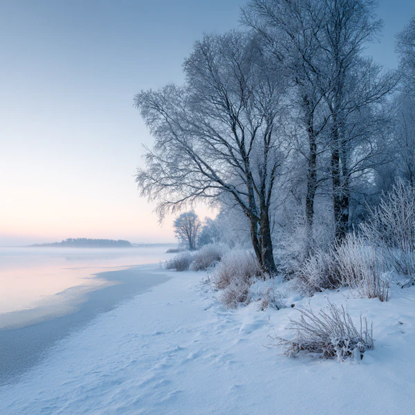 Winter Morning Serenity