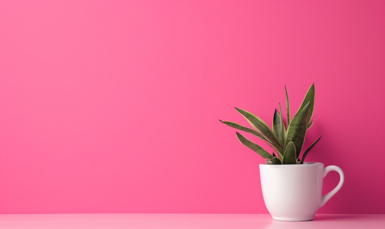 Minimalist Pink Background with White Mug and Green Plant