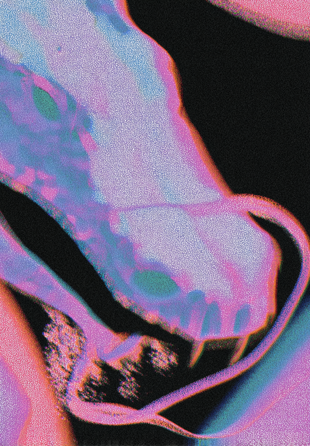 Abstract Skull Artwork