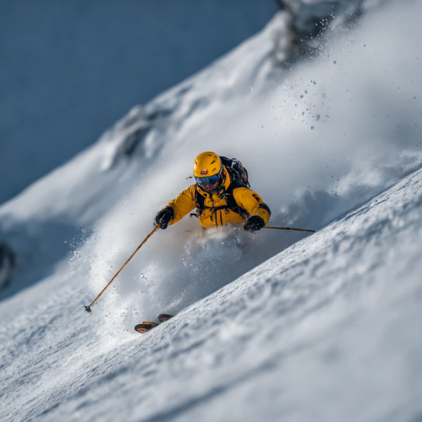 Dynamic Ski Descent