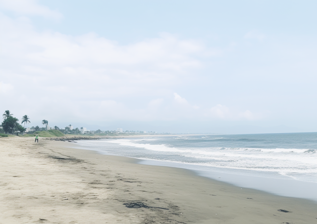 Solitude at the Serene Seashore