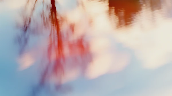 Abstract Tree Reflections