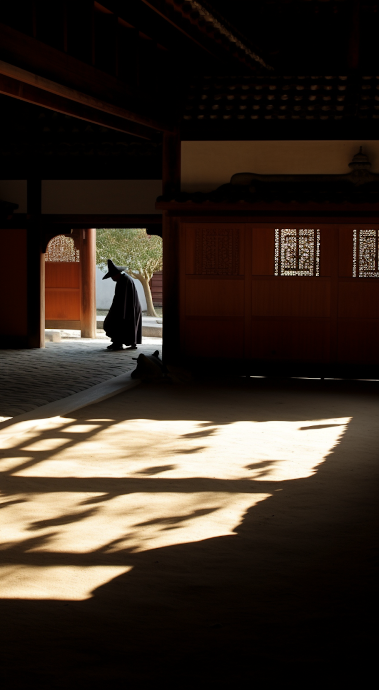 Silhouette of Serenity: The Exit of the Cloaked Figure