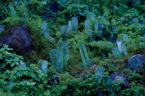 Enchanted Crystal Forest