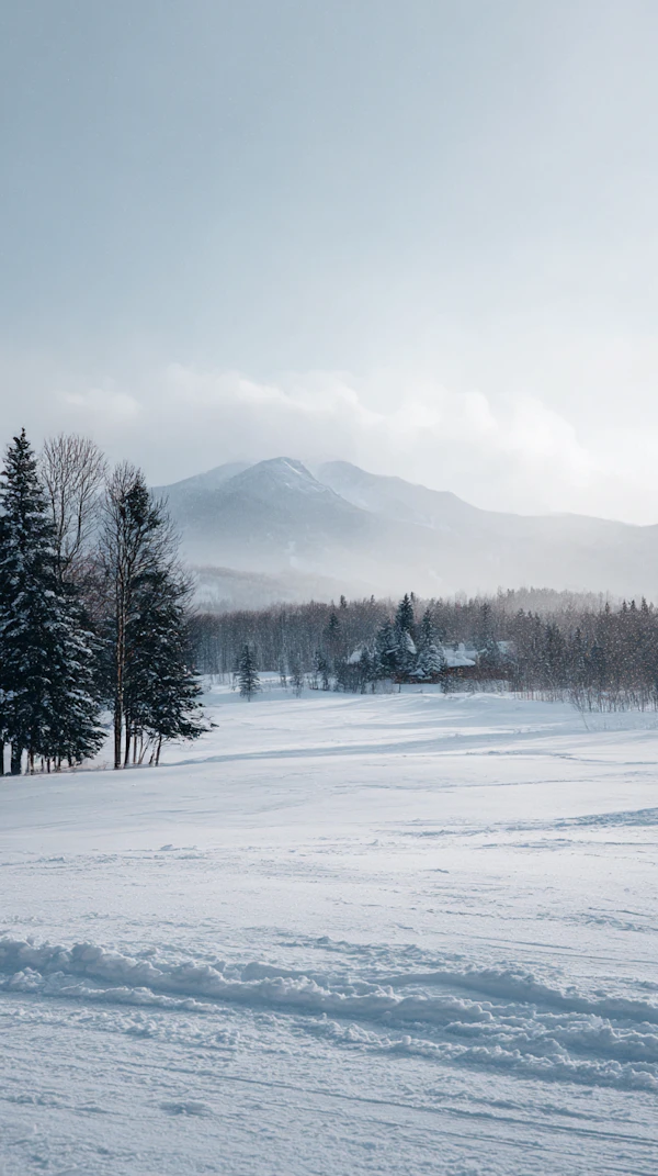 Serene Winter Landscape