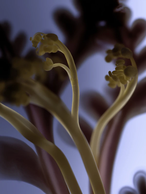 Close-Up Botanical Art