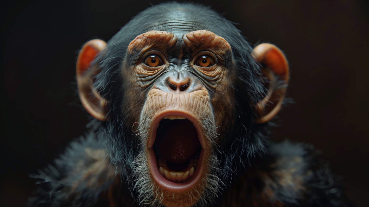 Expressive Chimpanzee Close-Up