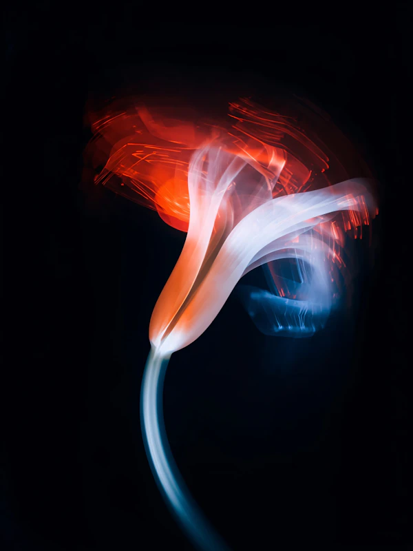 Glowing Abstract Lily