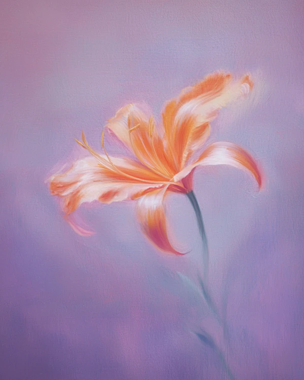 Orange Lily Illustration