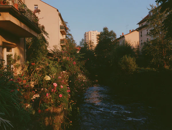 Urban River Serenity