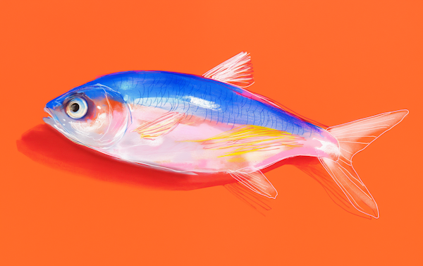 Vibrant Illustrated Fish