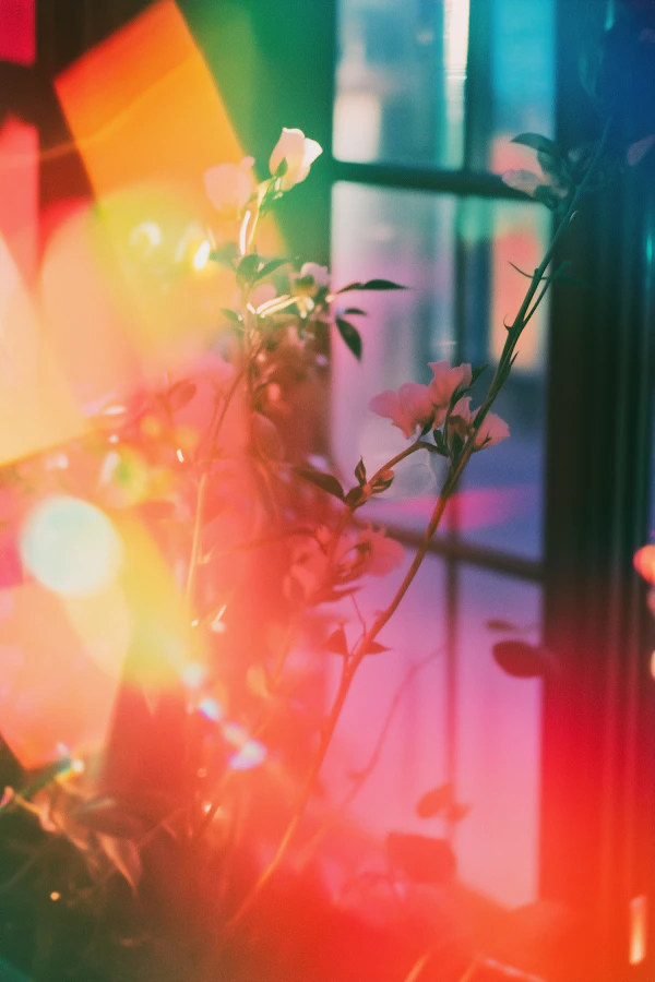 Ethereal Flowers with Multicolored Light