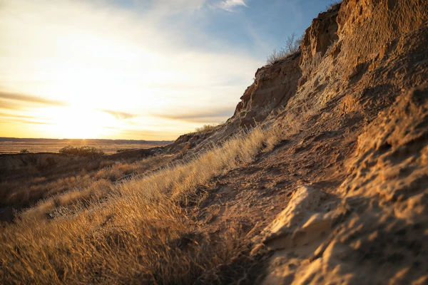 Golden Desert Landscape