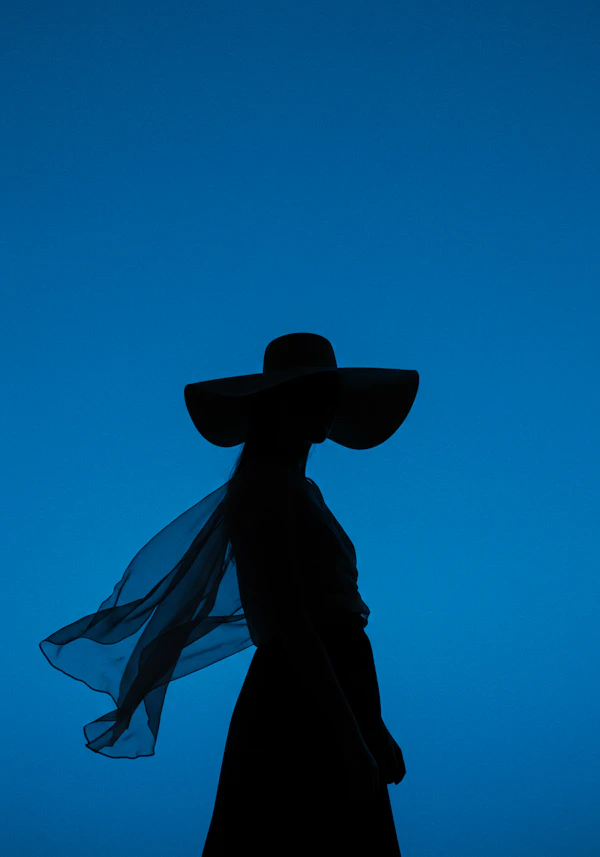 Silhouette with Hat