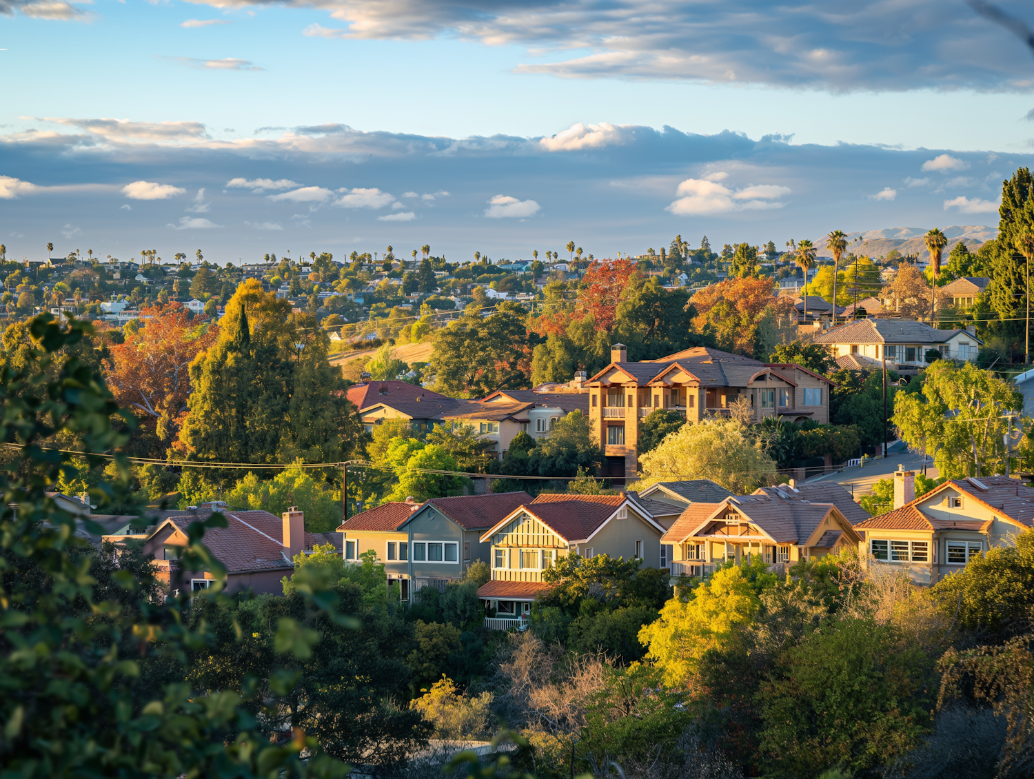 Suburban Sunset Serenity