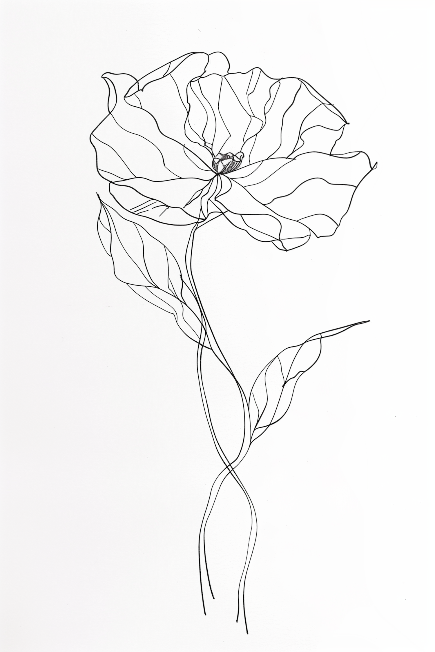 Delicate Line Drawing of a Flower