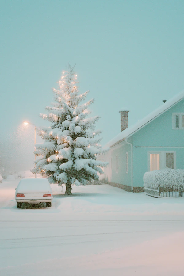 Winter Wonderland Scene