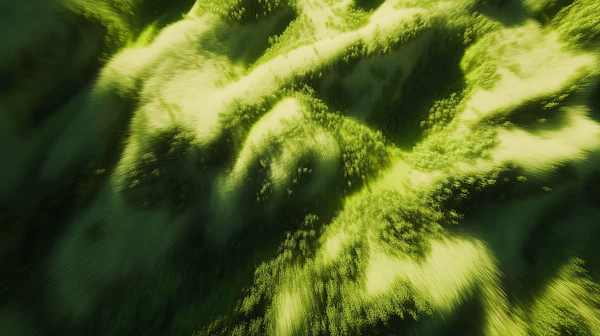 Lush Green Hills