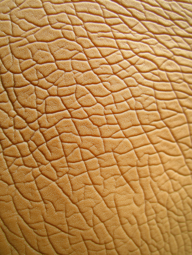 Golden Leather Texture