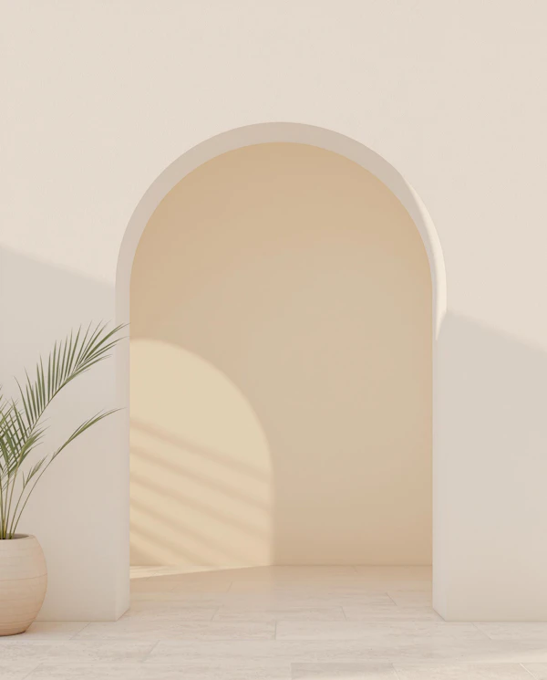 Minimalist Arched Interior