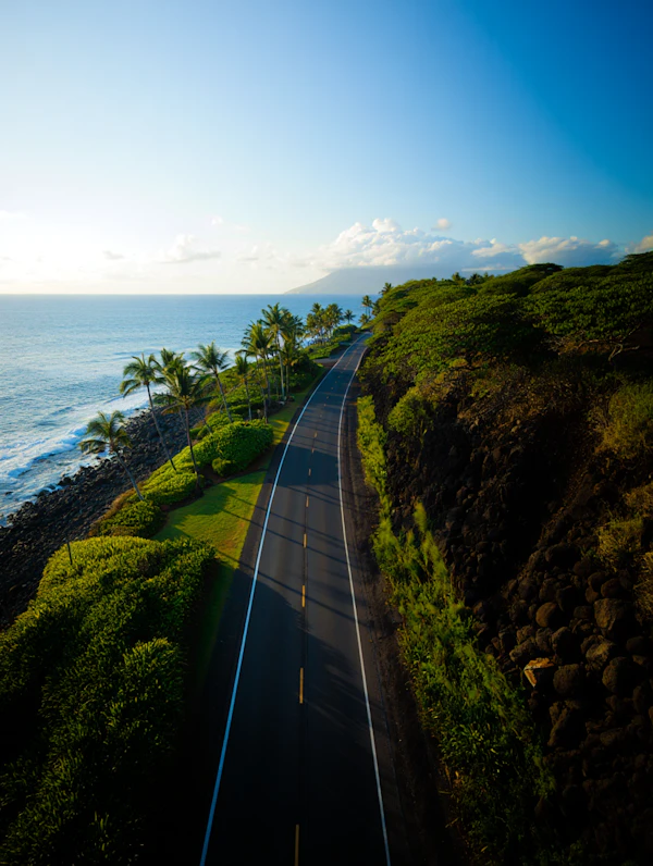 Scenic Coastal Road