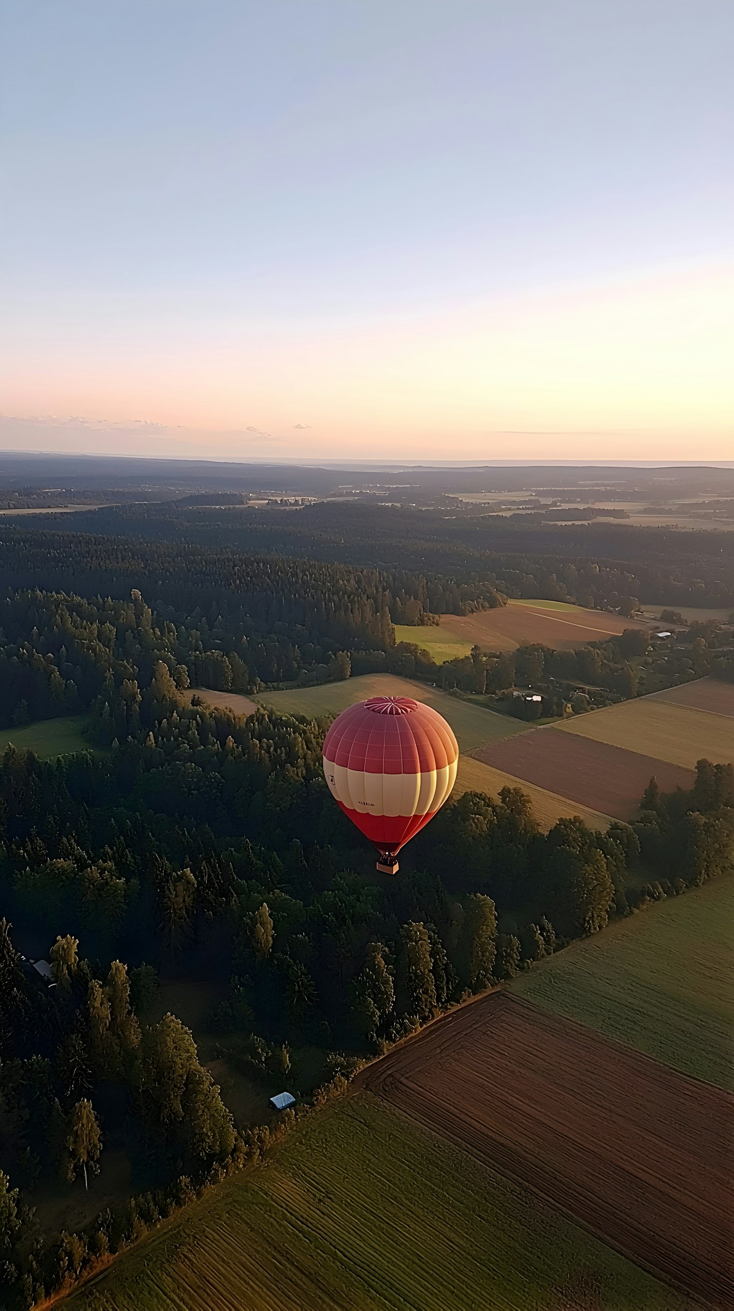 Hot Air Balloon Over Landscape