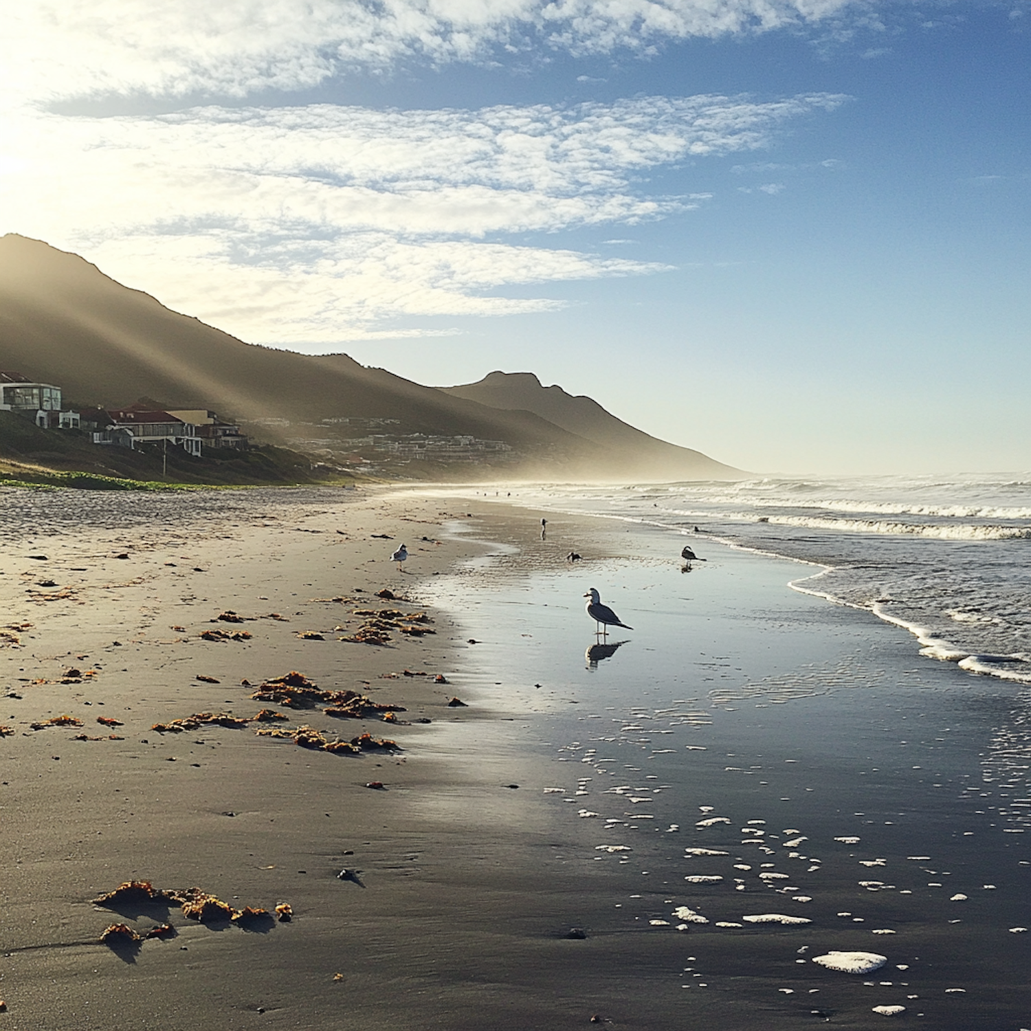 Serene Beach at Sunrise