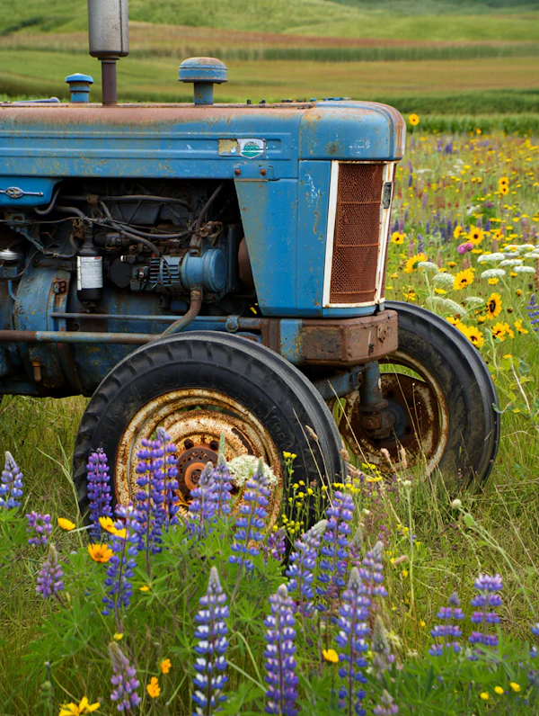 Rustic Tractor in Field