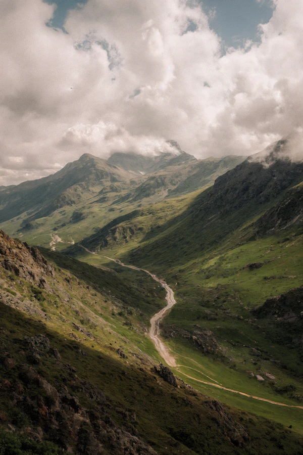 Lush Green Valley Scene
