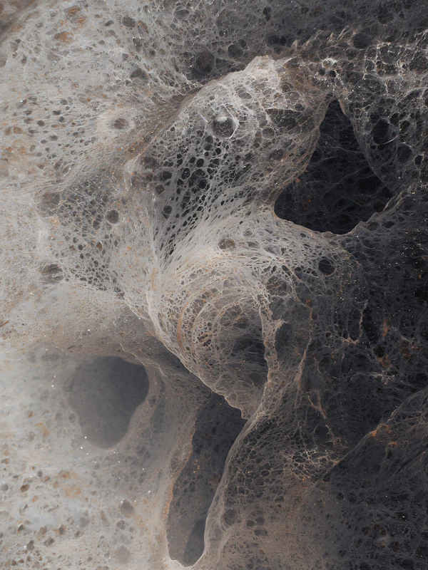Textured Organic Surface
