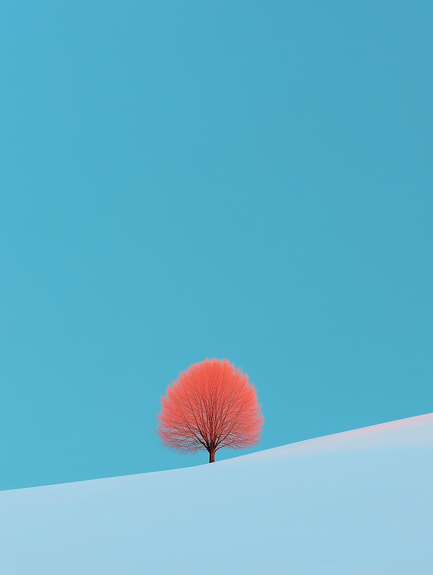 Solitary Pink Tree in Snow