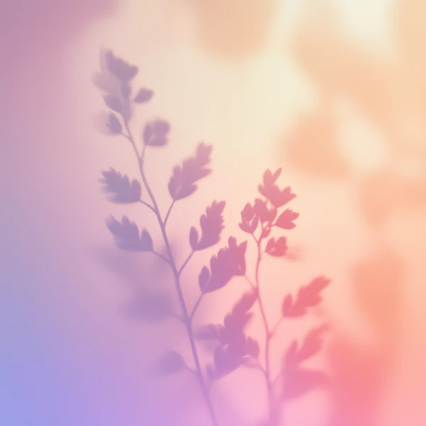 Plant Shadow Silhouette