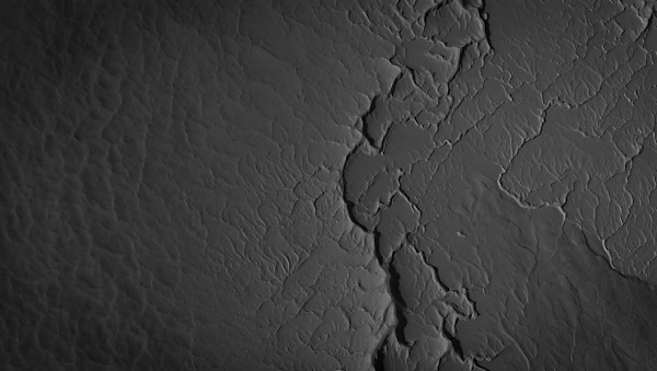 Cracked Earth Texture