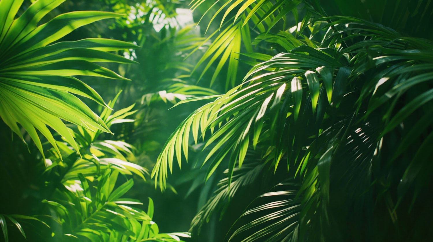Lush Tropical Plant Close-up