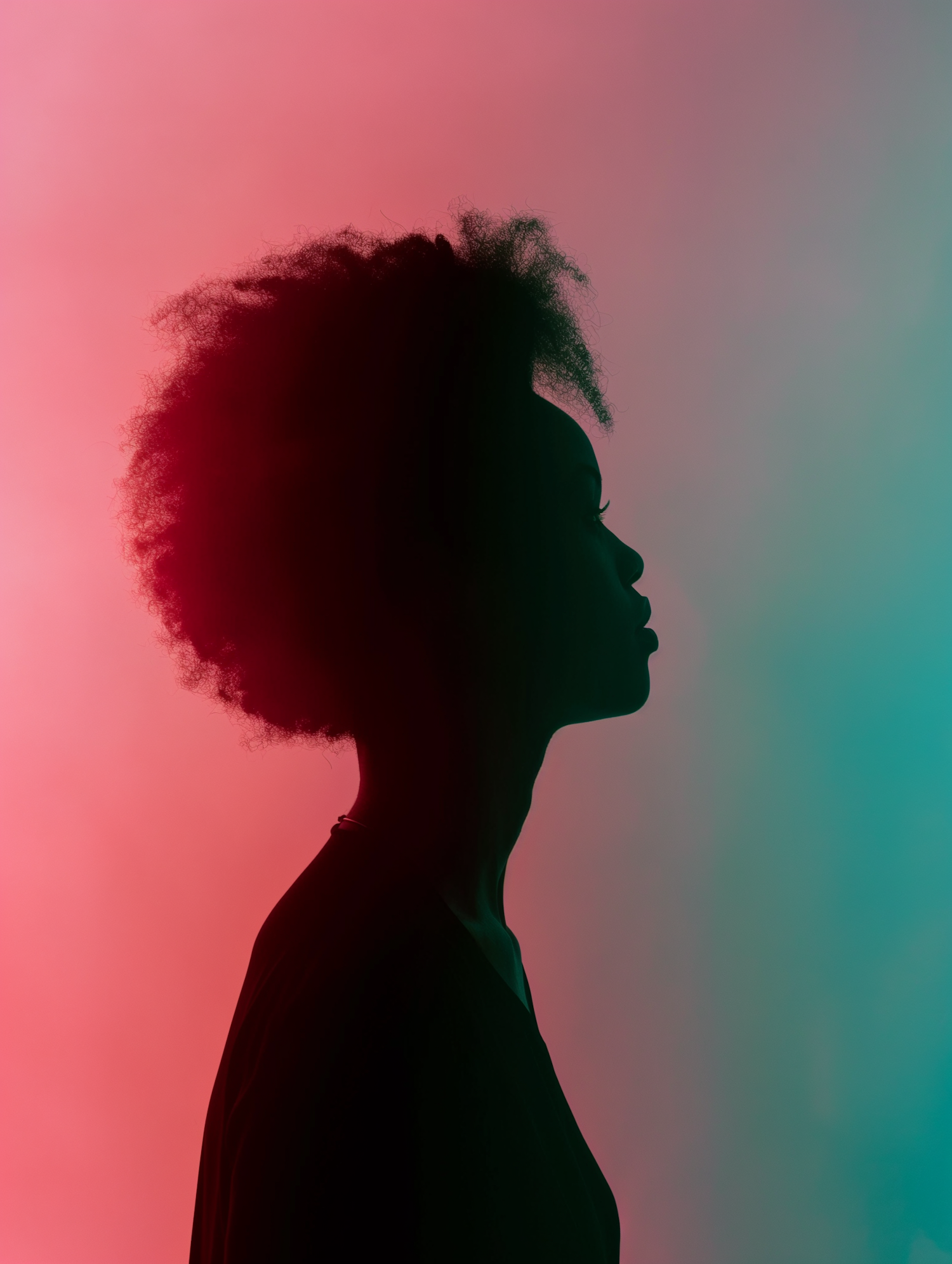 Afro Silhouette with Color Gradient