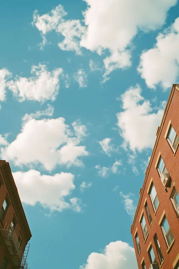 Urban Tranquility