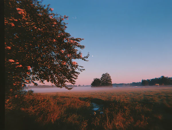 Serene Sunrise Landscape