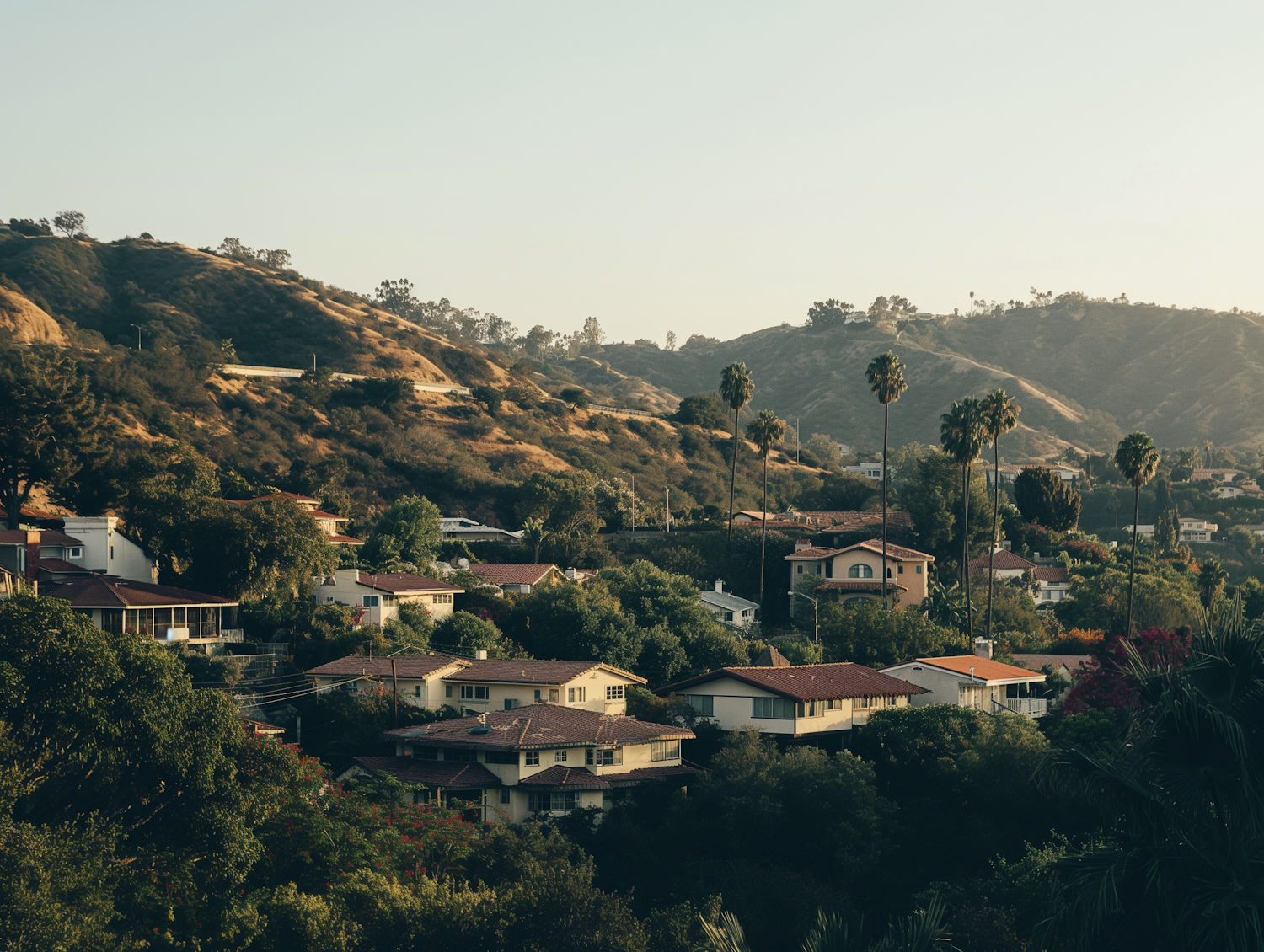 Hillside Suburban Tranquility