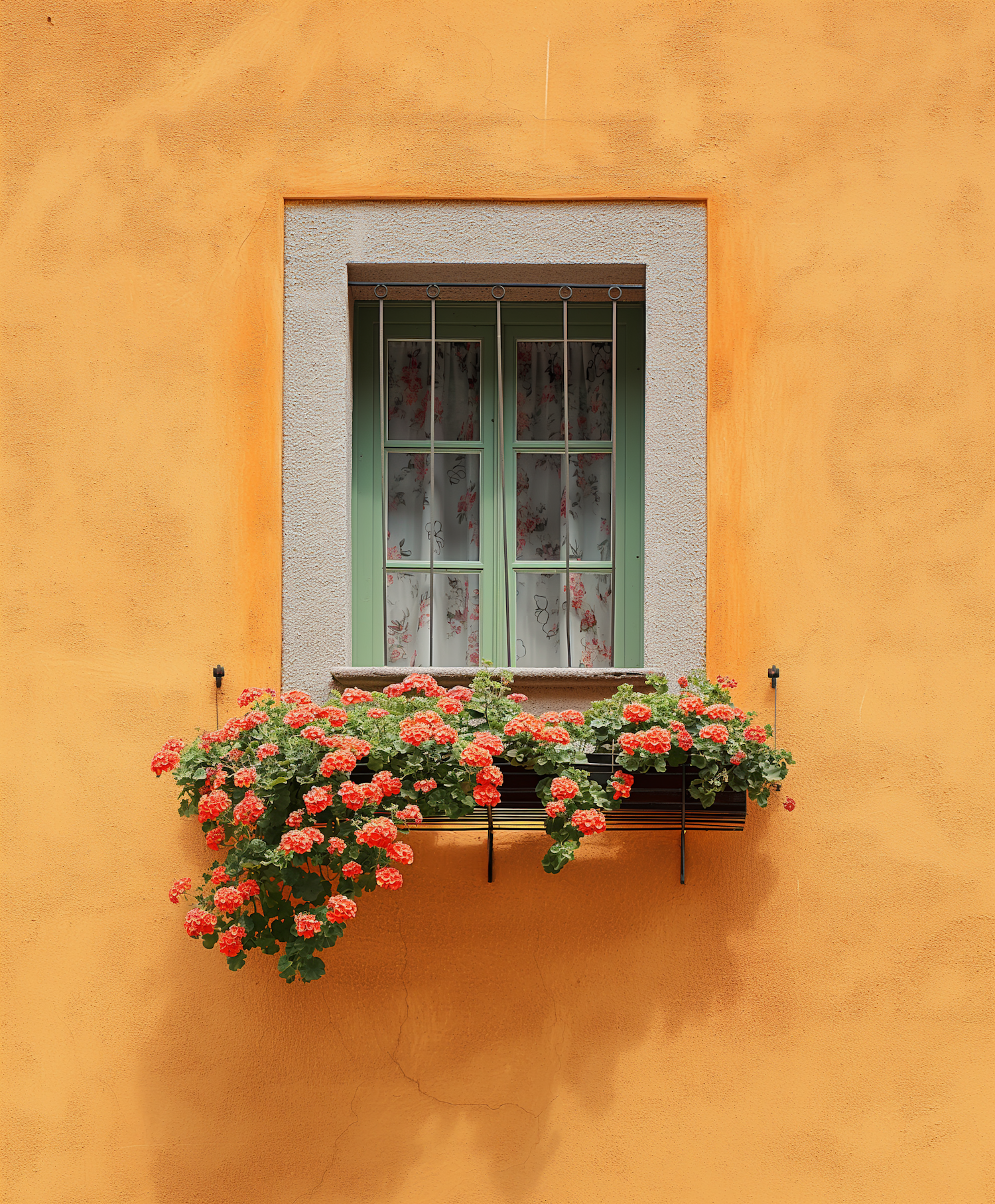 Picturesque European Window with Geraniums