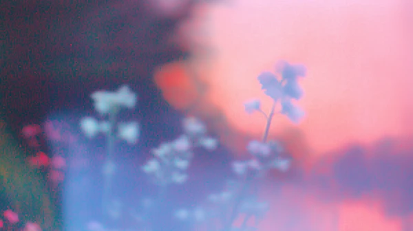 Dreamy Floral Abstract