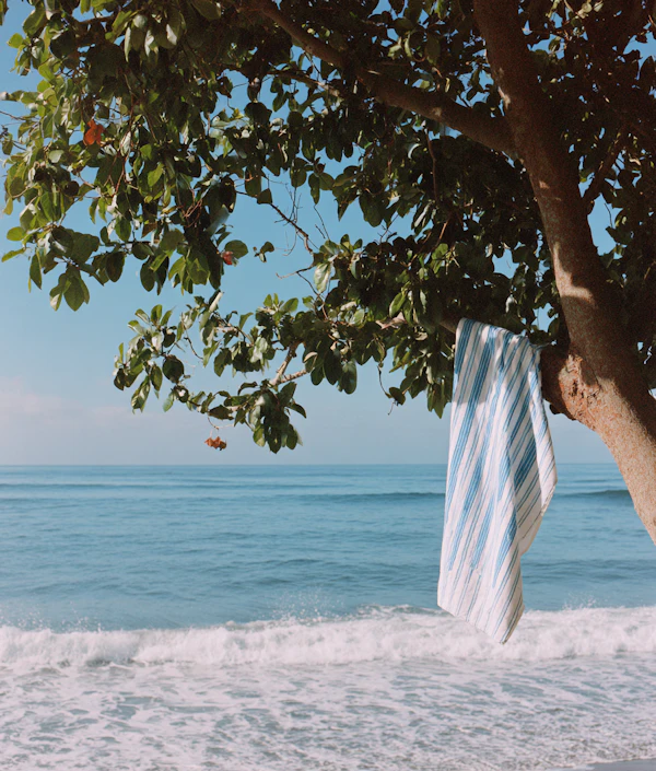 Serene Coastal Scene