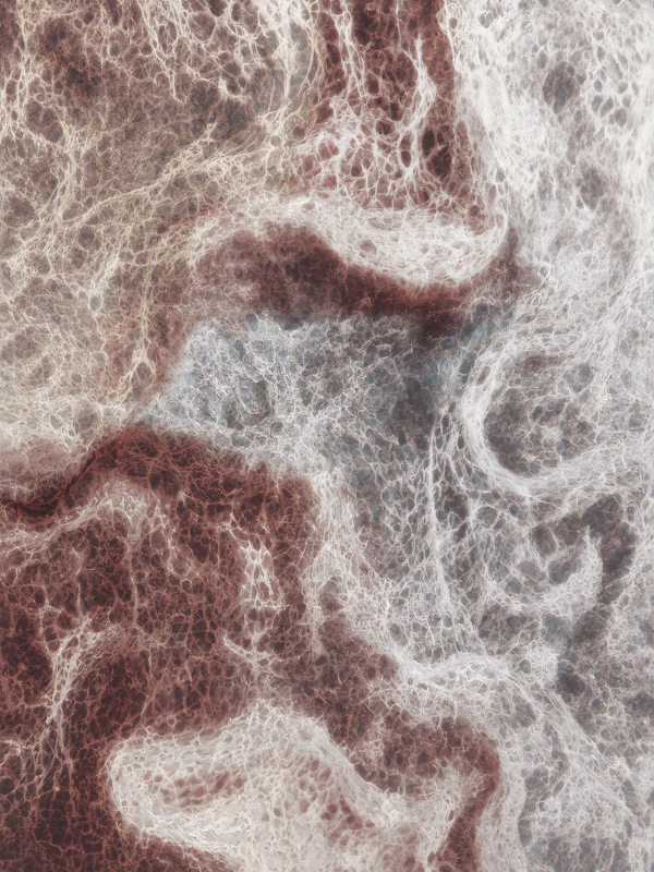Abstract Organic Texture