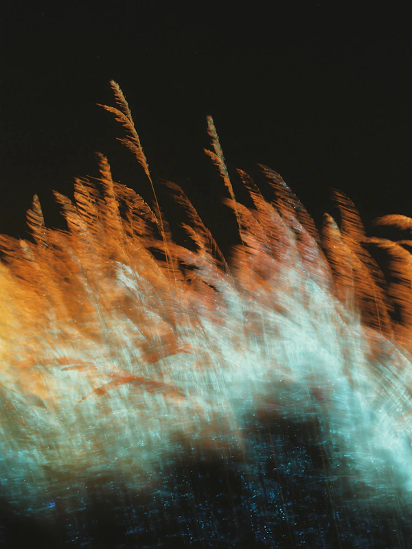 Vibrant Grass Motion